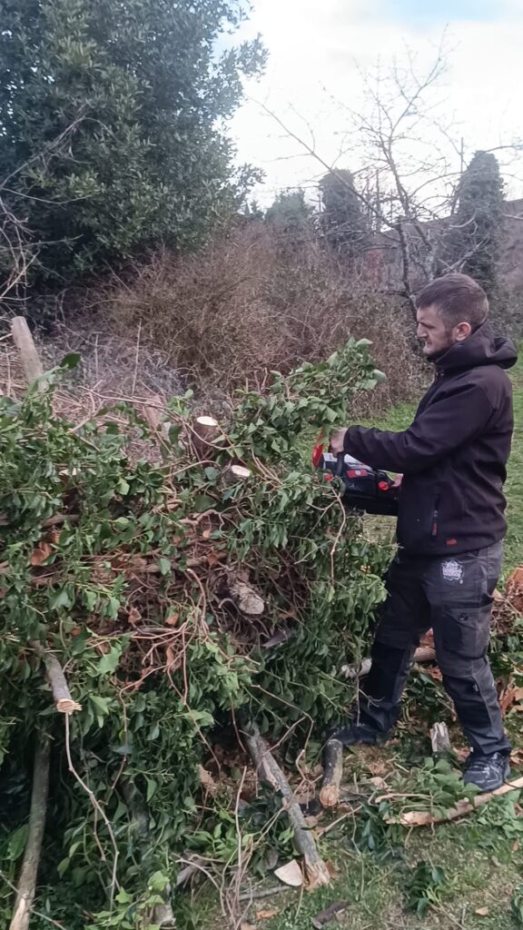 Tronçonnage, arbre, paysage, aménagement, paysage, espace vert, urbanisme, jardins, jardin, espaces verts